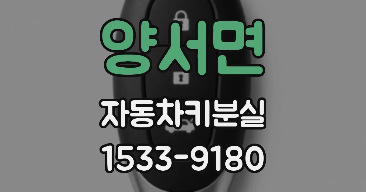 양서면 자동차키분실