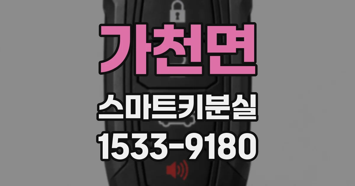 가천면 스마트키분실