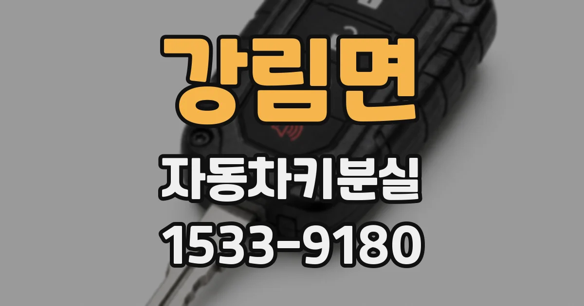 강림면 자동차키분실