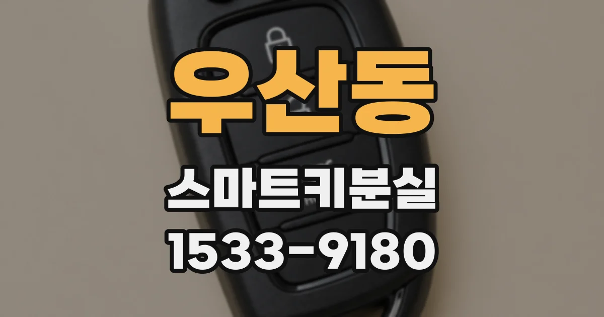 우산동 스마트키분실