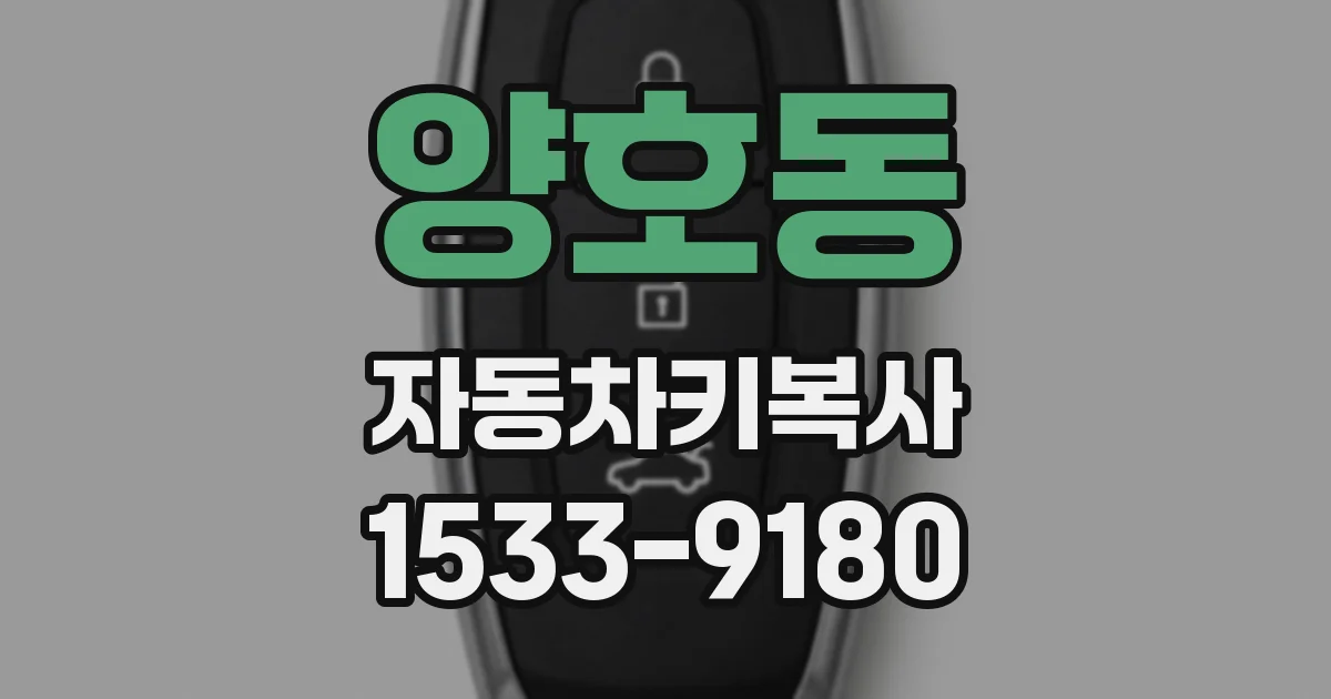 양호동 자동차키복사