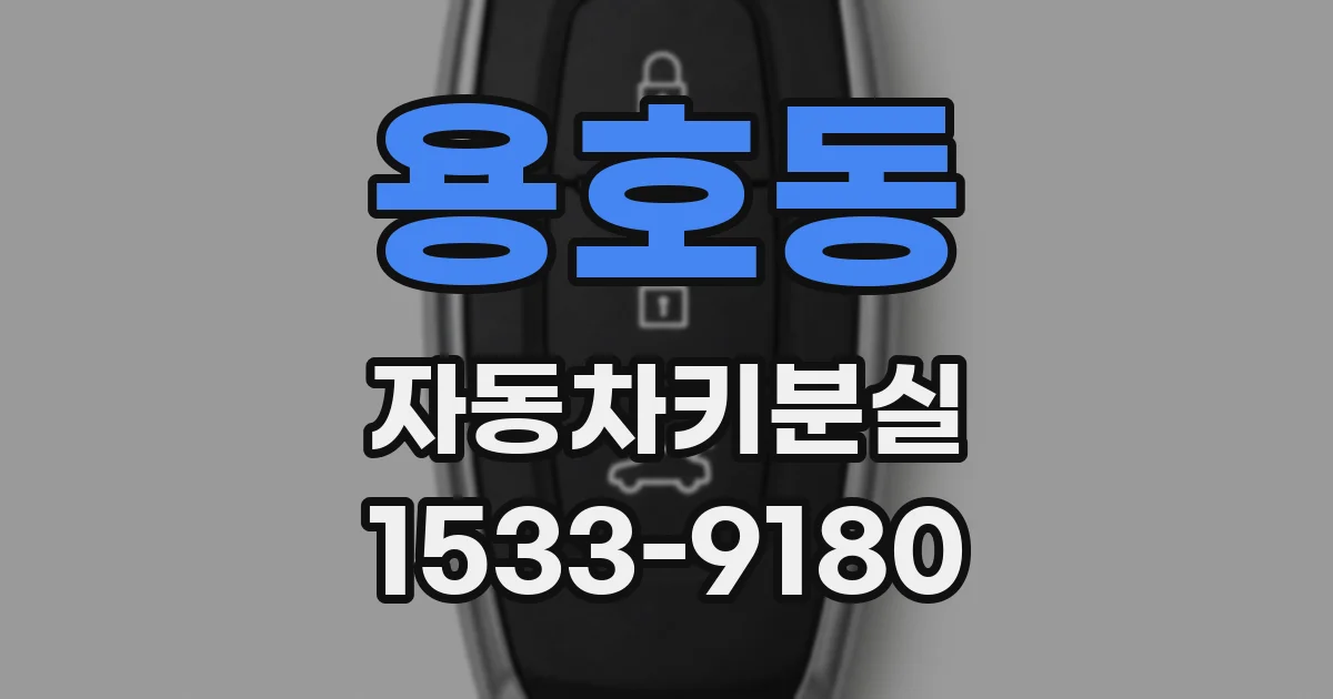 용호동 자동차키분실