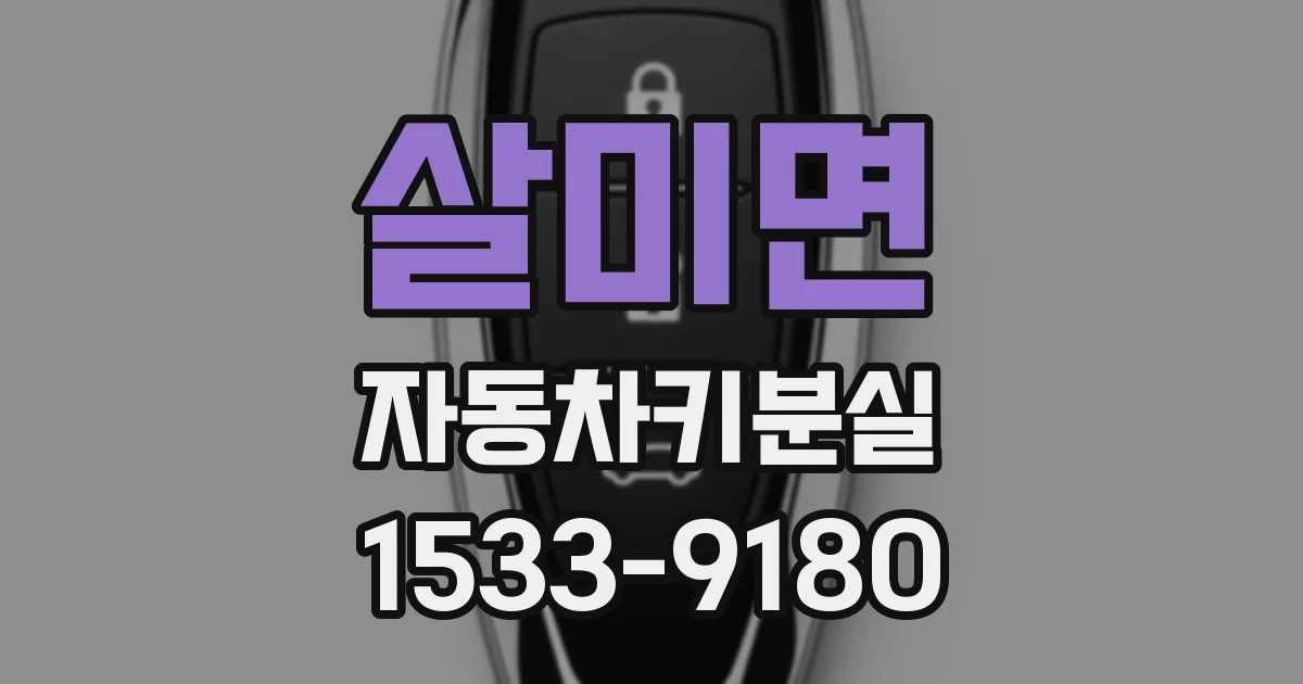 살미면 자동차키분실