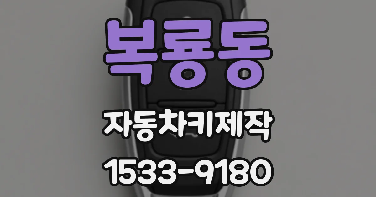 복룡동 자동차키제작
