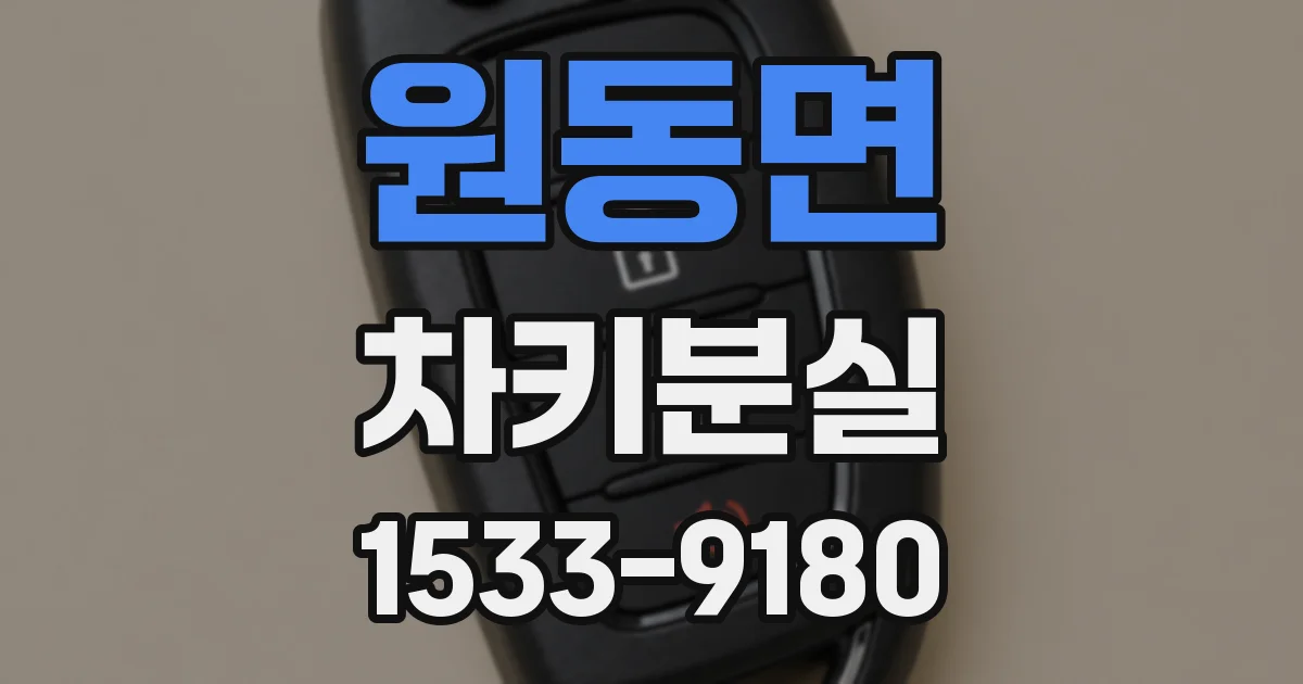 원동면 차키분실