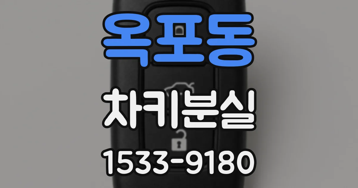 옥포동 차키분실