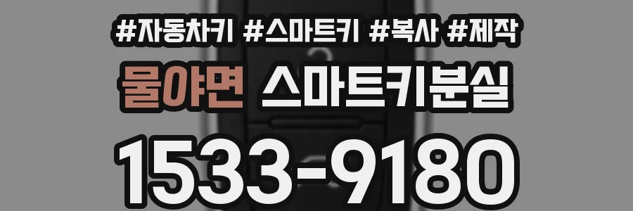 물야면 스마트키분실