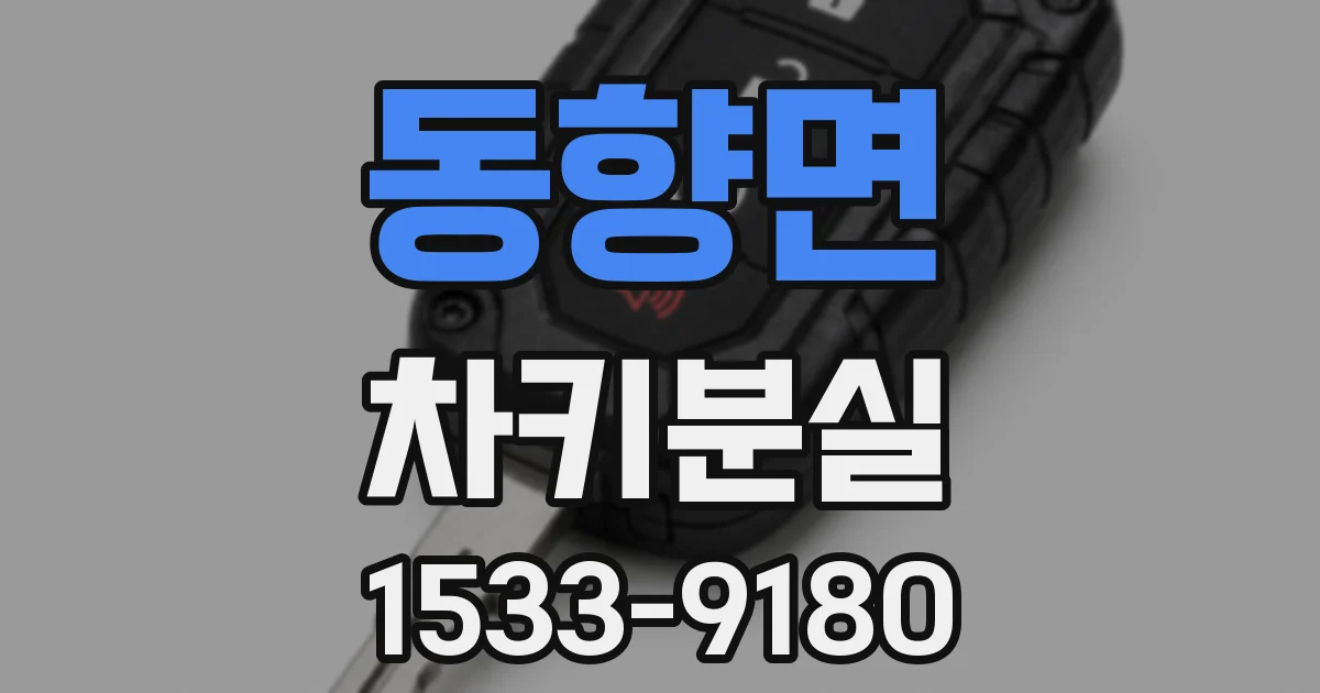 동향면 차키분실