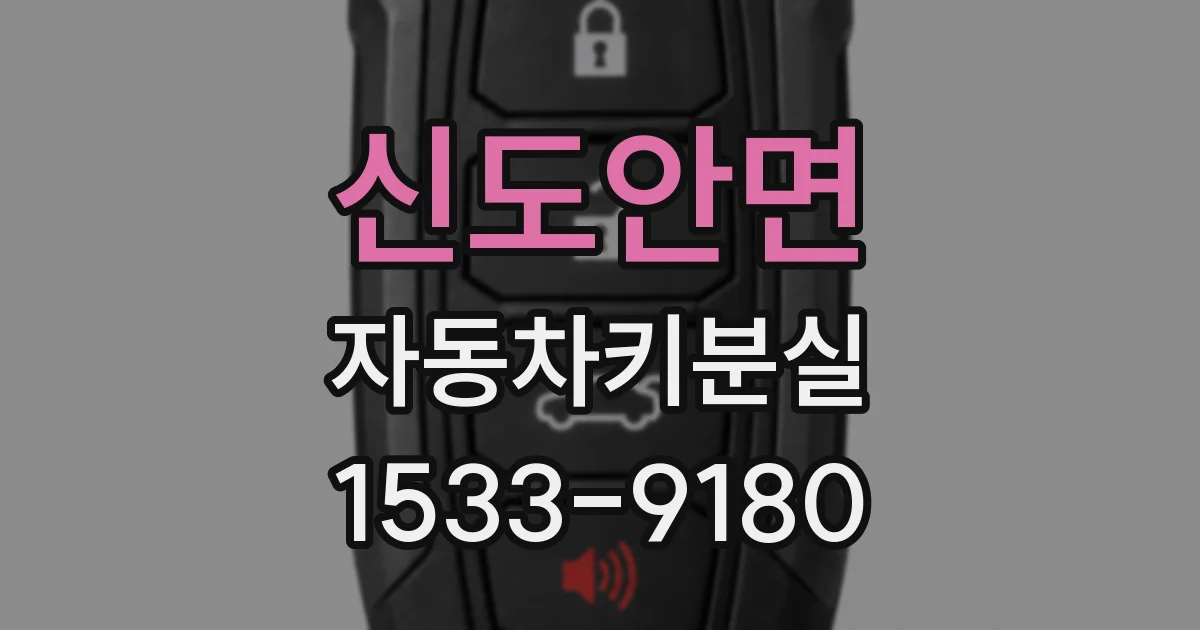 신도안면 자동차키분실