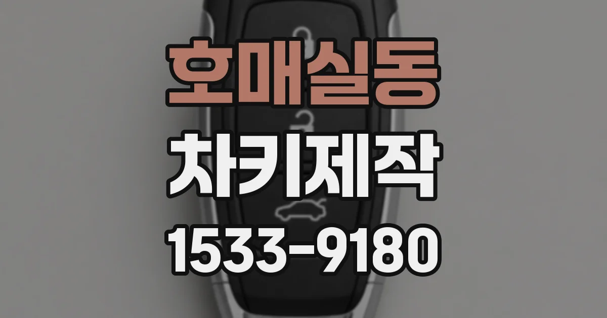 호매실동 차키제작