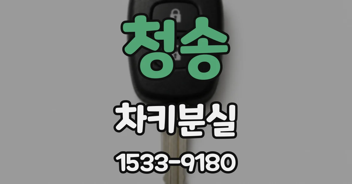 청송 차키분실