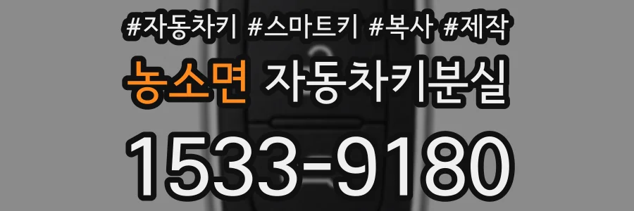 농소면 자동차키분실