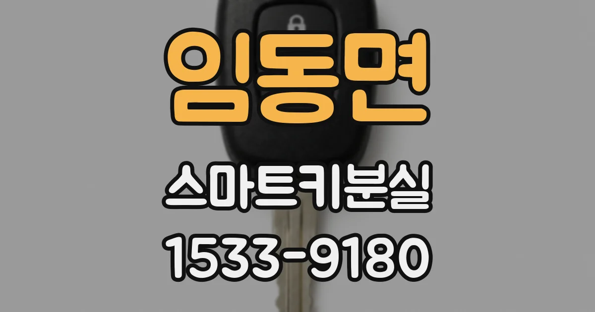 임동면 스마트키분실