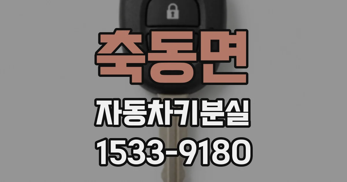 축동면 자동차키분실
