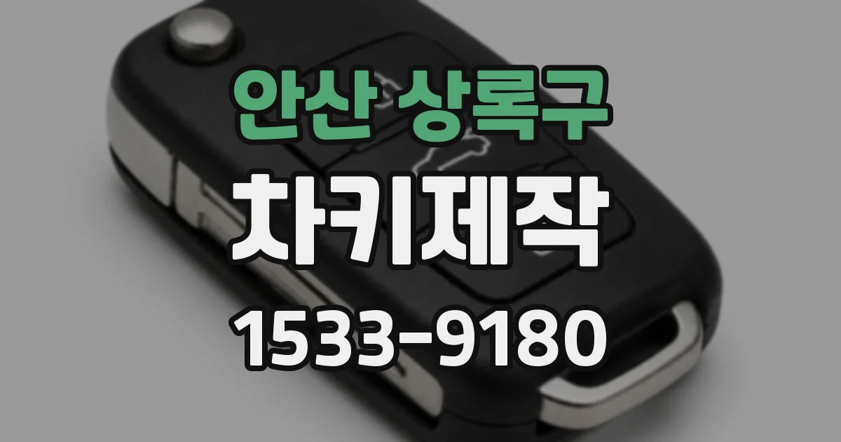 안산 상록구 차키제작