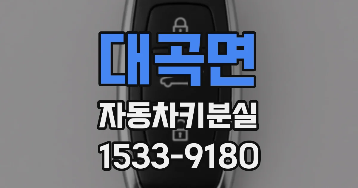 대곡면 자동차키분실