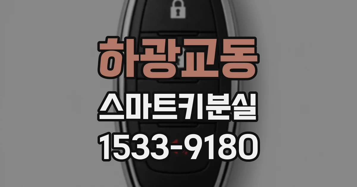 하광교동 스마트키분실
