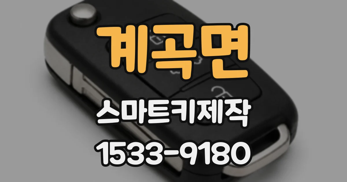 계곡면 스마트키제작