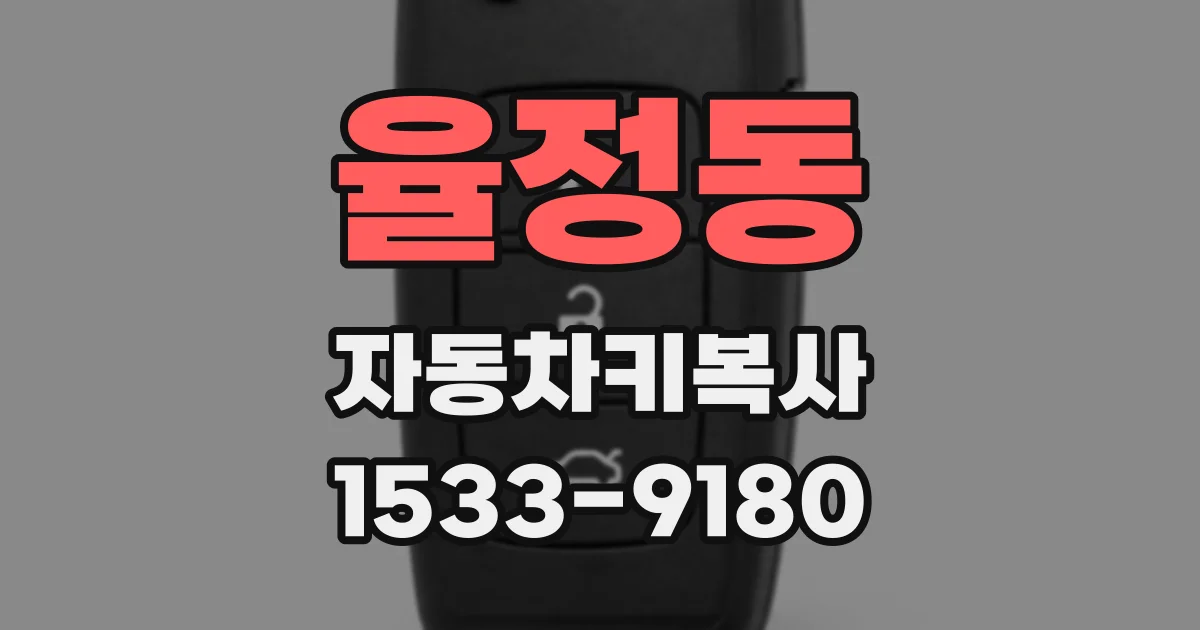 율정동 자동차키복사