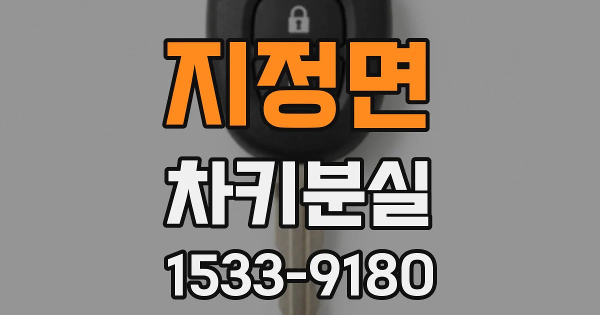 지정면 차키분실