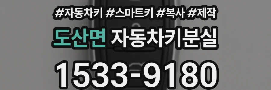 도산면 자동차키분실