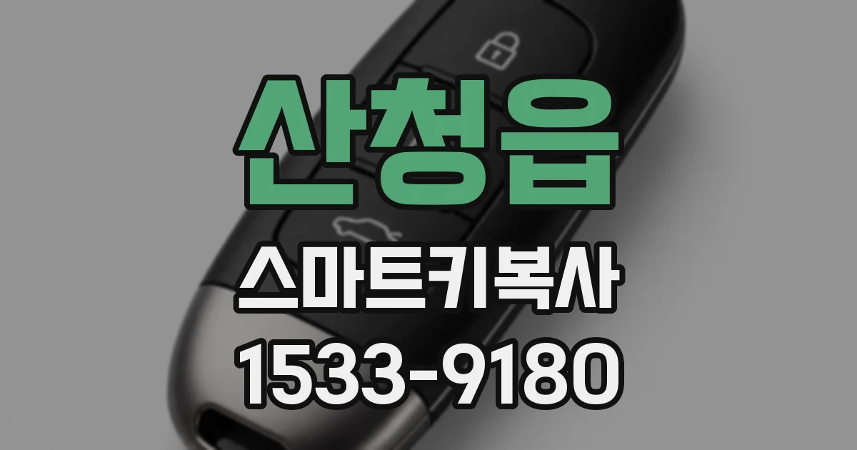 산청읍 스마트키복사