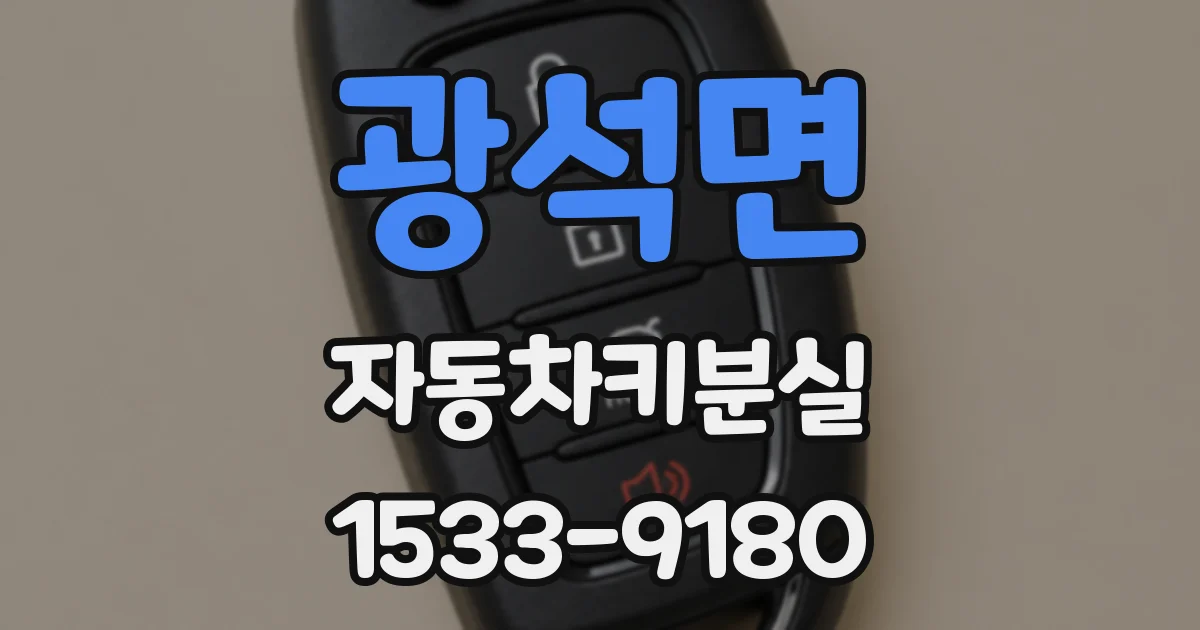 광석면 자동차키분실