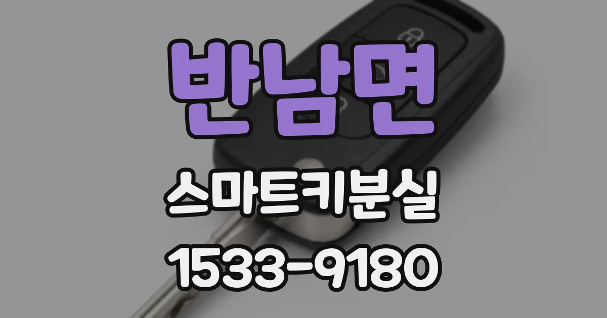 반남면 스마트키분실