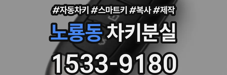 노룡동 차키분실