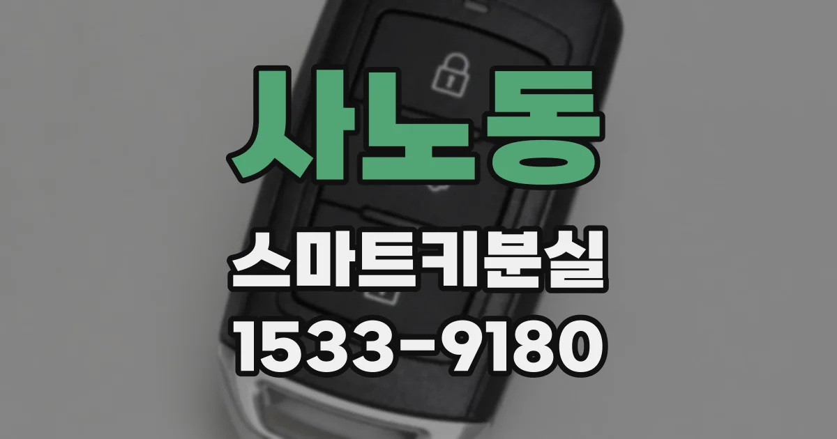 사노동 스마트키분실
