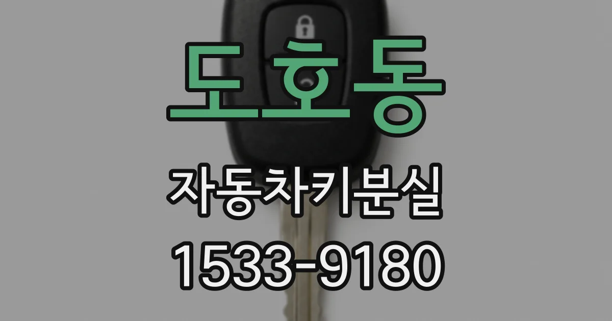 도호동 자동차키분실