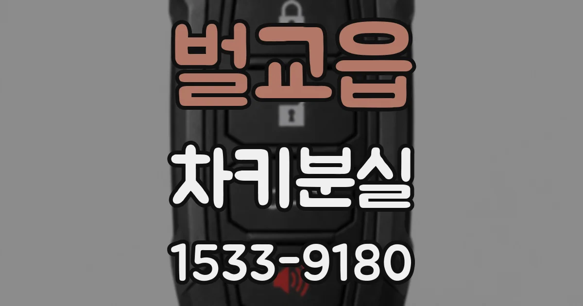 벌교읍 차키분실
