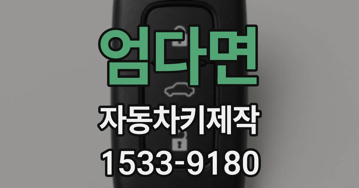 엄다면 자동차키제작