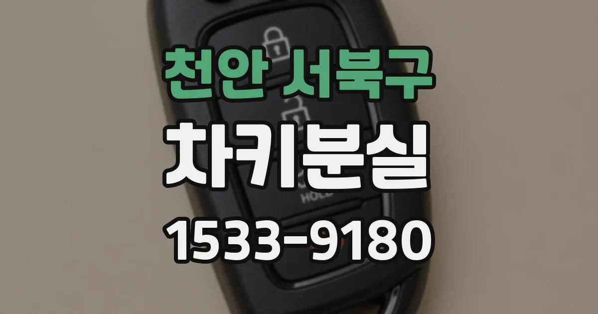 천안 서북구 차키분실