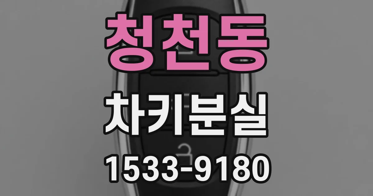 청천동 차키분실