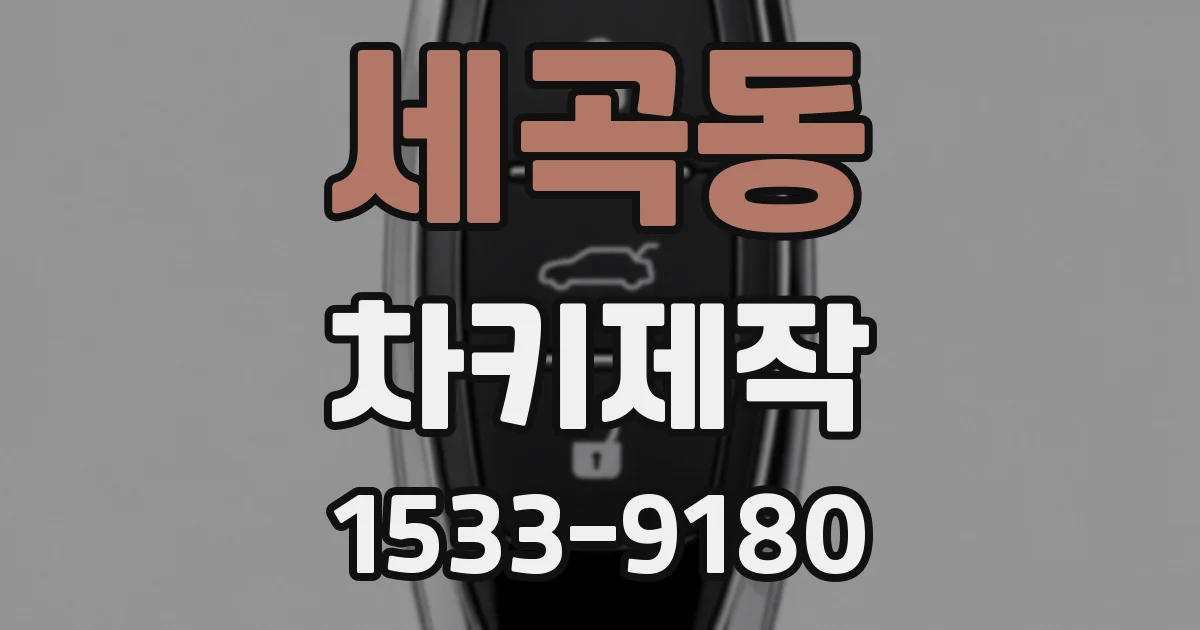세곡동 차키제작