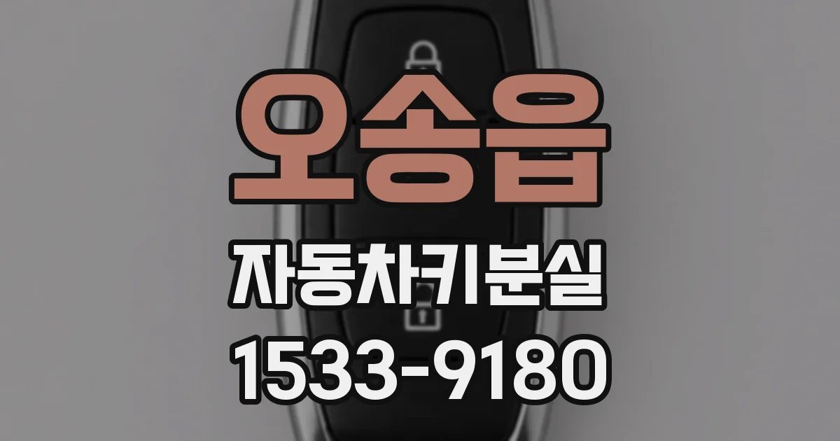 오송읍 자동차키분실