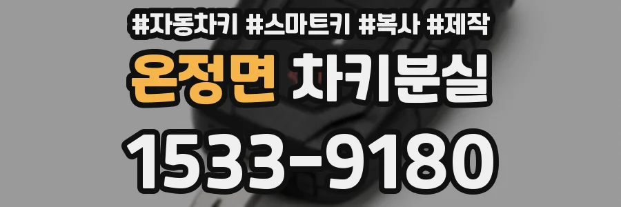 온정면 차키분실