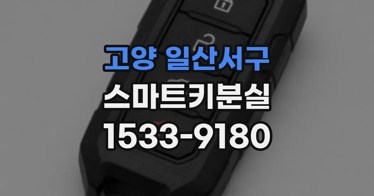 고양 일산서구 스마트키분실