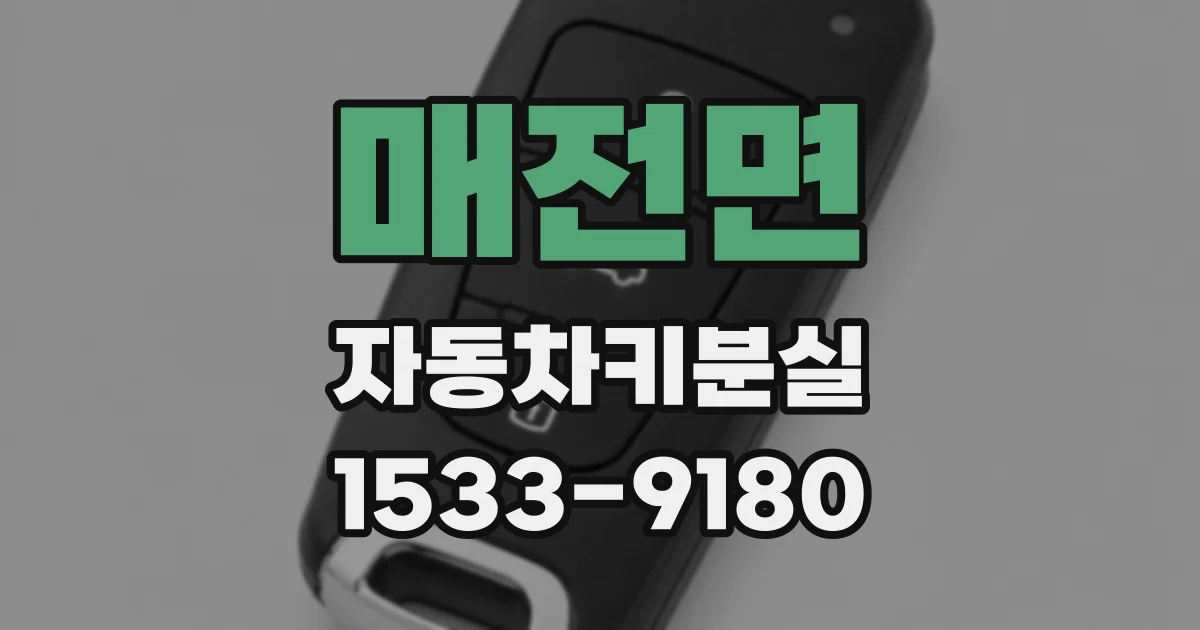 매전면 자동차키분실
