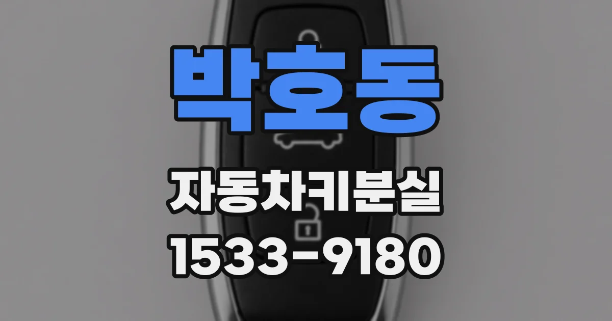 박호동 자동차키분실