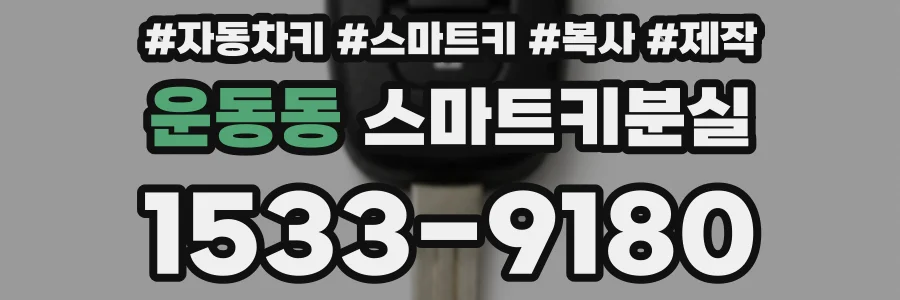 운동동 스마트키분실