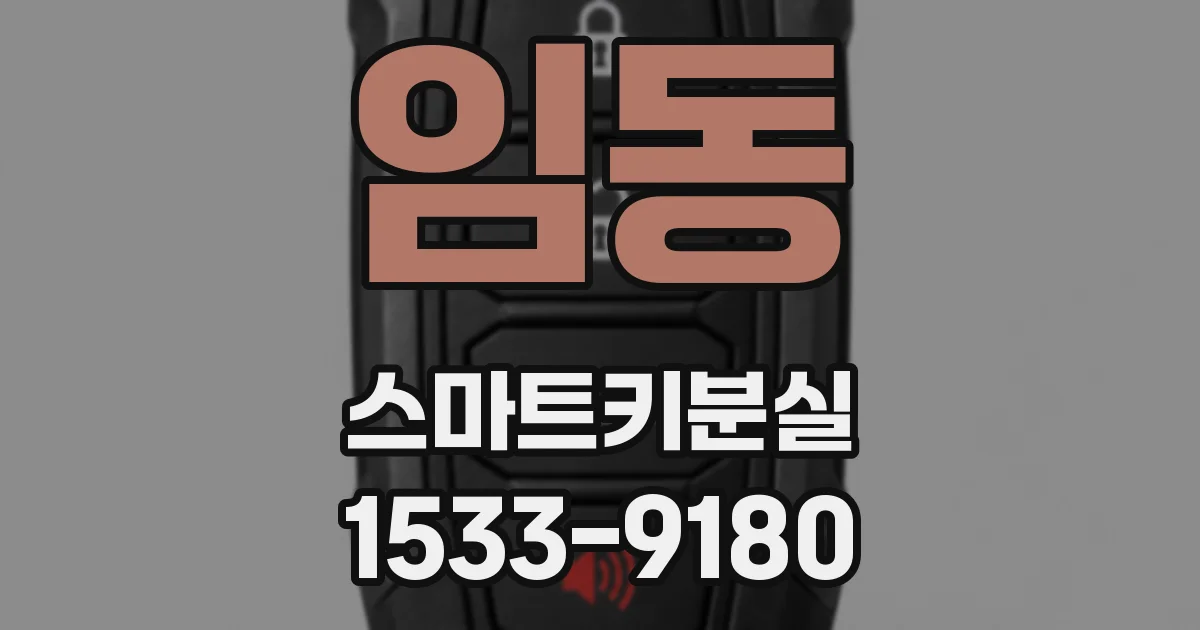 임동 스마트키분실
