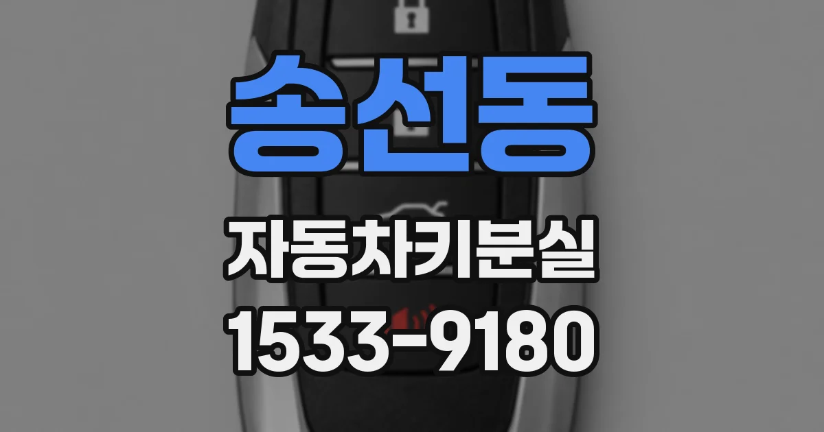 송선동 자동차키분실