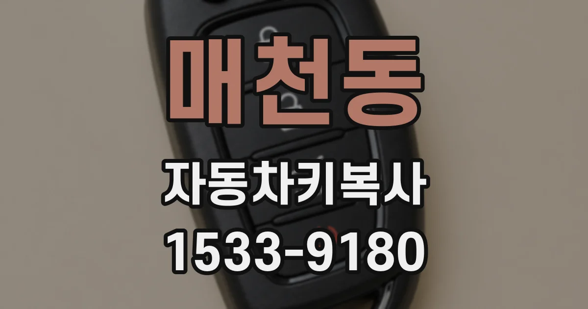 매천동 자동차키복사