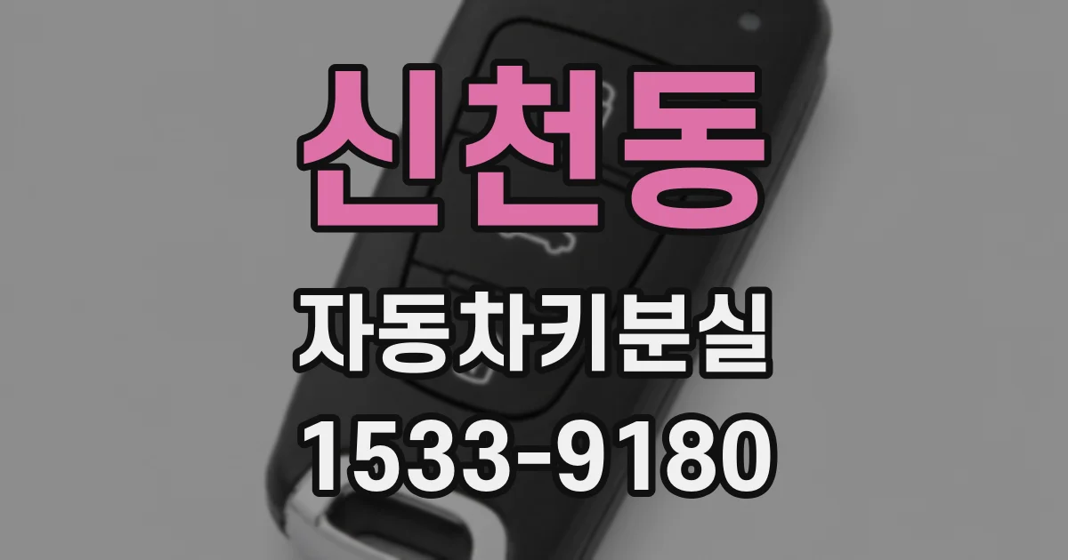 신천동 자동차키분실