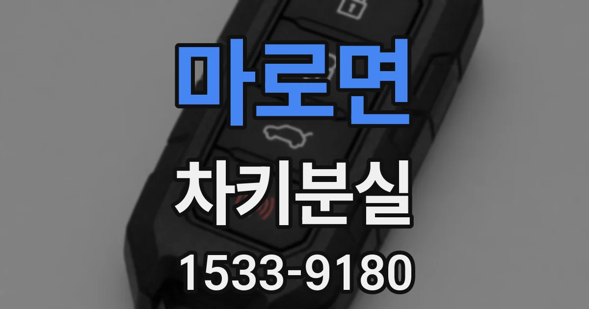 마로면 차키분실
