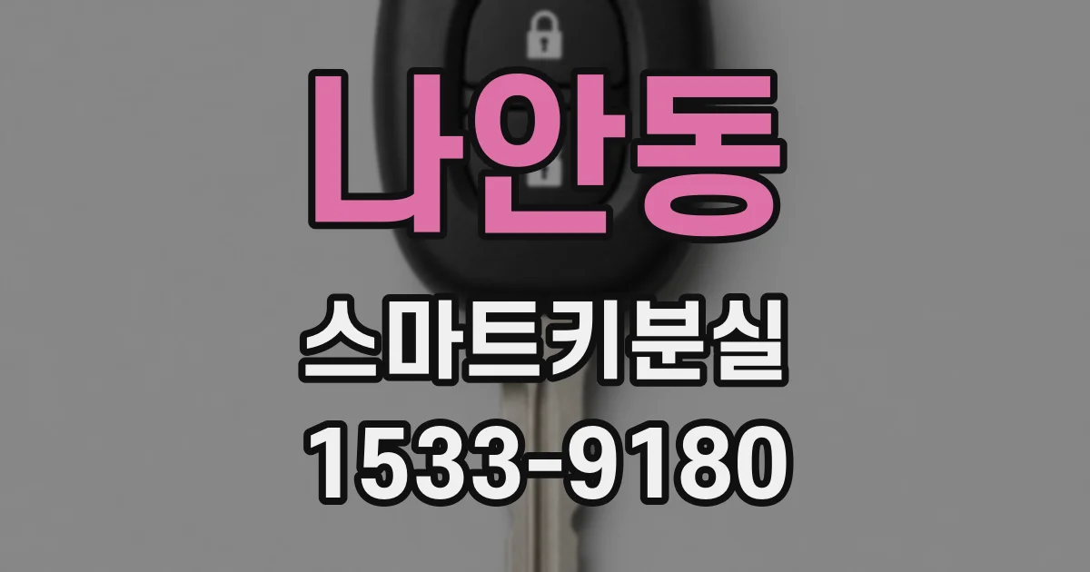 나안동 스마트키분실