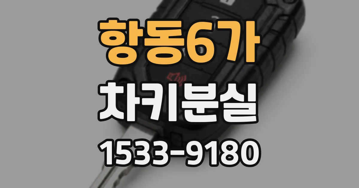 항동6가 차키분실