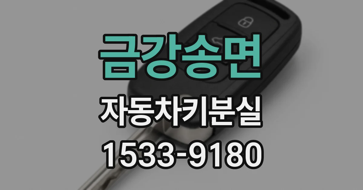 금강송면 자동차키분실